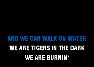AND WE CAN WALK 0 WATER
WE ARE TIGERS IN THE DARK
WE ARE BURHIH'