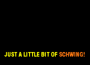 JUST A LITTLE BIT OF SCHWIHG!