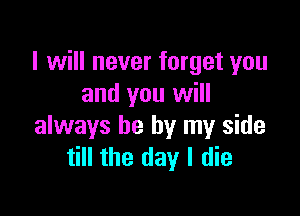 I will never forget you
and you will

always be by my side
till the day I die