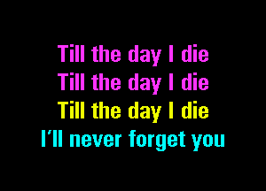 Till the day I die
Till the day I die

Till the day I die
I'll never forget you