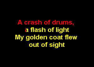 A crash of drums,
a flash of light

My golden coat flew
out of sight