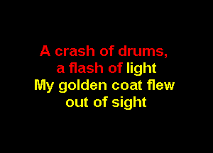 A crash of drums,
a flash of light

My golden coat flew
out of sight