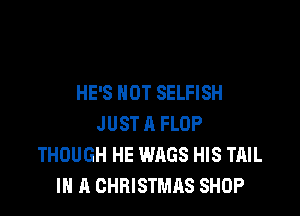 HE'S NOT SELFISH

JUST A FLOP
THOUGH HE WAGS HIS TAIL
IN A CHRISTMAS SHOP