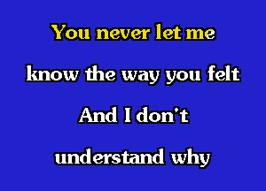 You never let me

know the way you felt

And I don't

understand why