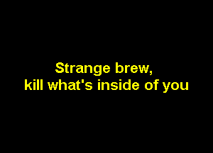 Strange brew,

kill what's inside of you