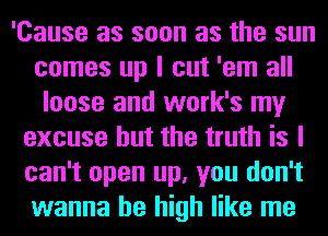 'Cause as soon as the sun
comes up I cut 'em all
loose and work's my
excuse but the truth is I
can't open up, you don't
wanna be high like me