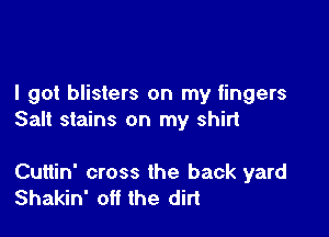 I got blisters on my fingers

Salt stains on my shirt

Cuttin' cross the back yard
Shakin' off the din