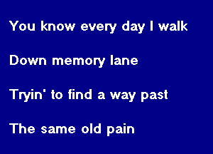 You know every day I walk

Down memowy lane

Tryin' to find a way past

The same old pain