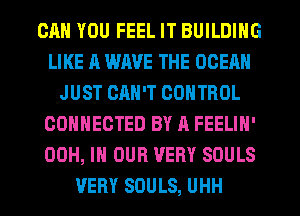 CAN YOU FEEL IT BUILDING
LIKE A WAVE THE OCEAN
JUST CAN'T CONTROL
CONNECTED BY 11 FEELIN'
00H, IN OUR VERY SOULS
VERY SOULS, UHH