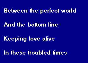 Between the perfect world

And the bottom line
Keeping love alive

In these troubled times