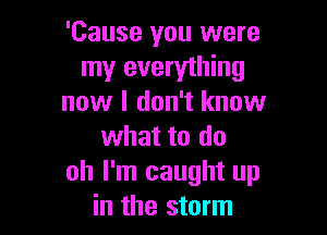 'Cause you were
my everything
now I don't know

what to do
oh I'm caught up
in the storm