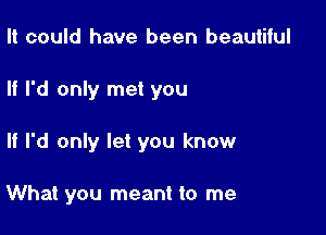 It could have been beautiful

If I'd only met you

If I'd only let you know

What you meant to me