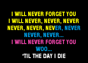 I WILL NEVER FORGET YOU
I WILL NEVER, NEVER, NEVER
NEVER, NEVER, NEVER, NEVER
NEVER, EVER...
I WILL NEVER FORGET YOU
W00...
'TIL THE DAY I DIE