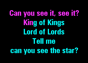 Can you see it, see it?
King of Kings

Lord of Lords
Tell me
can you see the star?