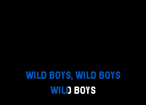 WILD BOYS, WILD BOYS
WILD BOYS