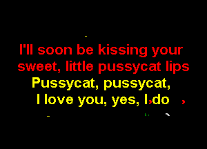 I'll soon be kissing your
sweet, little pussycat lips

Pussycat, pussycat,
I love you, yes, l.do .

I.