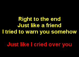 Right to the end
Just like a friend

I tried to warn you somehow

Just like I cried over you