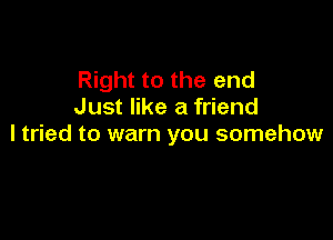 Right to the end
Just like a friend

I tried to warn you somehow