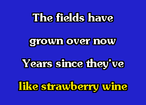 The fields have
grown over now
Years since they've

like strawberry wine