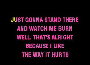 JUST GONNA STAND THERE
AND WATCH ME BURN
WELL, THAT'S ALRIGHT

BECAUSE I LIKE

THE WAY IT HURTS l