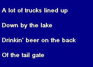 A lot oi trucks lined up

Down by the lake
Drinkin' beer on the back

Of the tail gate
