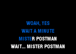 WOAH, YES

WAIT 11 MINUTE
MISTER POSTMAH
WAIT... MISTER POSTMAH