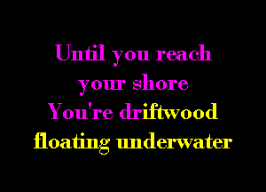 Until you reach

your shore
You're driftwood

floating Imderwater