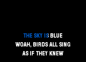 THE SKY IS BLUE
WOAH, BIRDS ALL SIHG
AS IF THEY KNEW