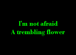 I'm not afraid

A trembling flower