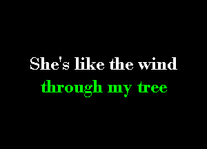 She's like the Wind

through my tree