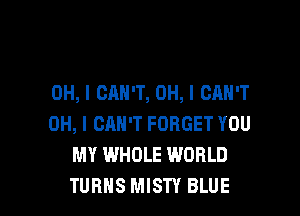 OH, I CAN'T, OH, I CAN'T

OH, I CAN'T FORGET YOU
MY WHOLE WORLD
TURNS MISTY BLUE