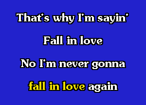 That's why I'm sayin'
Fall in love
No I'm never gonna

fall in love again