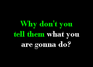 Why don't you

tell them What you
are gonna do?