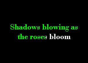 Shadows blowing as

the roses bloom