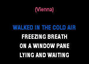 (Vienna)

WALKED IN THE COLD AIR
FREEZING BREATH
ON A WINDOW PAHE
LYIHG AND WAITING