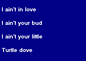 I ain't in love

I ain't your bud

I ain't your little

Turtle dove