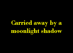 Carried away by a

moonlight shadow