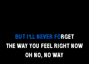 BUT I'LL NEVER FORGET
THE WAY YOU FEEL RIGHT NOW
OH H0, NO WAY