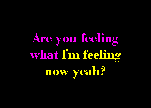 Are you feeling

what I'm feeling
now yeah?