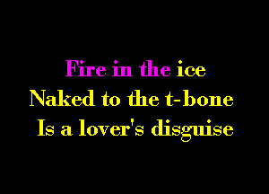 Fire in the ice
Naked t0 the t-bone

Is a lover's disguise