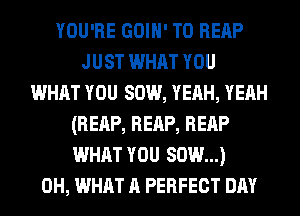 YOU'RE GOIH' T0 REAP
JUST WHAT YOU
WHAT YOU 80W, YEAH, YEAH
(REAP, REAP, REAP
WHAT YOU 80W...)
0H, WHAT A PERFECT DAY