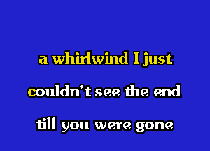 a whirlwind Ijust

couldn't see the end

till you were gone