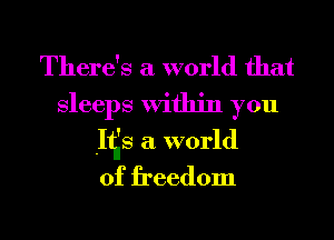 There's a world that
Sleeps Within you
has a world
of freedom
