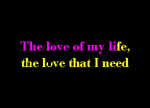 The love of my life,
the love that I need