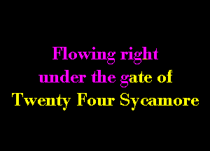 Flowing right
under the gate of
Twenty Four Sycamore