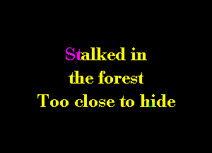 Stalked in

the forest
Too close to hide