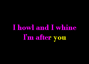 I howl and I Whine

I'm after you