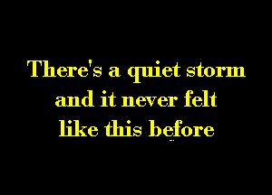 There's a quiet storm
and it never felt

like this bqfore