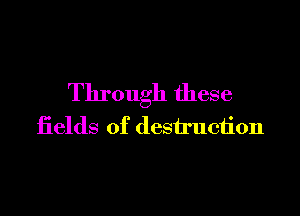 Through these

fields of destruction