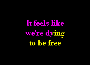It feels like

we're dying
to be free